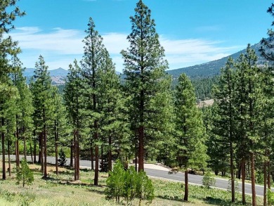 Price Reduced from a high of $95,000 to $50,000 to $35,000  This on Nakoma Golf Resort in California - for sale on GolfHomes.com, golf home, golf lot