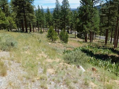 Price Reduced from a high of $95,000 to $50,000 to $35,000  This on Nakoma Golf Resort in California - for sale on GolfHomes.com, golf home, golf lot