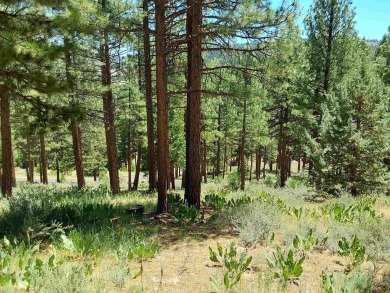 Price Reduced from a high of $95,000 to $50,000 to $35,000  This on Nakoma Golf Resort in California - for sale on GolfHomes.com, golf home, golf lot