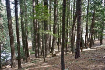 THIS IS THE WHIMSICAL FOREST LOT YOU'VE BEEN DREAMING OF! on Plumas Pines Golf Resort in California - for sale on GolfHomes.com, golf home, golf lot