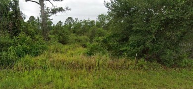 Build your dream home or invest in this vacant residential lot on Sun n Lake Golf and Country Club in Florida - for sale on GolfHomes.com, golf home, golf lot