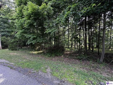Welcome to Lot 213 in the sought-after Audubon Woods subdivision on Doe Valley Country Club in Kentucky - for sale on GolfHomes.com, golf home, golf lot