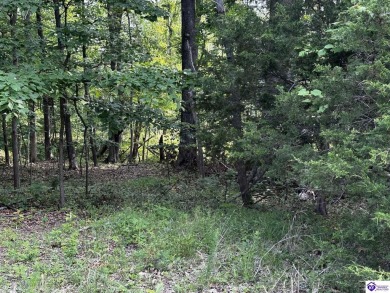 Welcome to Lot 213 in the sought-after Audubon Woods subdivision on Doe Valley Country Club in Kentucky - for sale on GolfHomes.com, golf home, golf lot