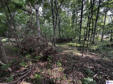 Welcome to Lot 213 in the sought-after Audubon Woods subdivision on Doe Valley Country Club in Kentucky - for sale on GolfHomes.com, golf home, golf lot