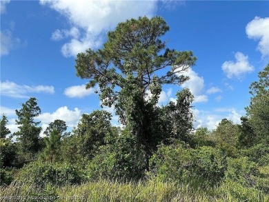 Build your dream home or invest in this vacant residential lot on Sun n Lake Golf and Country Club in Florida - for sale on GolfHomes.com, golf home, golf lot