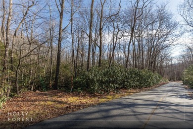 Discover a rare opportunity to own a beautifully prepared Holly on Sapphire National Golf Club in North Carolina - for sale on GolfHomes.com, golf home, golf lot