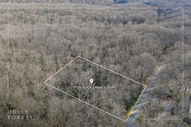 Discover a rare opportunity to own a beautifully prepared Holly on Sapphire National Golf Club in North Carolina - for sale on GolfHomes.com, golf home, golf lot