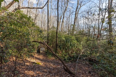 Discover a rare opportunity to own a beautifully prepared Holly on Sapphire National Golf Club in North Carolina - for sale on GolfHomes.com, golf home, golf lot