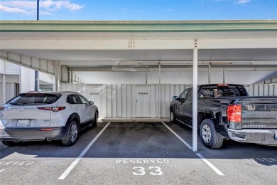 Beautifully RENOVATED TURNKEY FURNISHED WATERVIEW 2BR/2BA condo on Terra Ceia Golf and Country Club in Florida - for sale on GolfHomes.com, golf home, golf lot