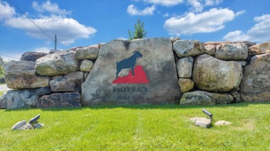 Estate Lot with Breathtaking Mountain & Golf Course Views! Build on Ballyhack Golf Club in Virginia - for sale on GolfHomes.com, golf home, golf lot