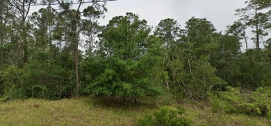 Build your dream home or invest in this vacant residential lot on Sun n Lake Golf and Country Club in Florida - for sale on GolfHomes.com, golf home, golf lot