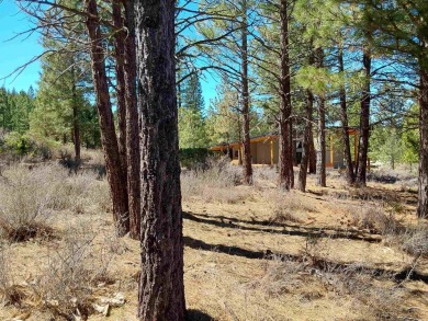 Dragon Golf Lot Call Broker Mimi Garner  What makes this lot so on Nakoma Golf Resort in California - for sale on GolfHomes.com, golf home, golf lot