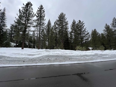 Ready to build your mountain home? This home-site has everything on Lahontan Golf Club - Lahontan in California - for sale on GolfHomes.com, golf home, golf lot