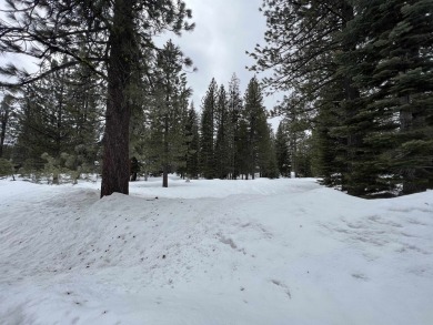 Ready to build your mountain home? This home-site has everything on Lahontan Golf Club - Lahontan in California - for sale on GolfHomes.com, golf home, golf lot