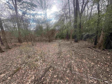 Rare opportunity to own a golf-front lot on the 17th hole on Diamondhead Golf and Country Club in Arkansas - for sale on GolfHomes.com, golf home, golf lot