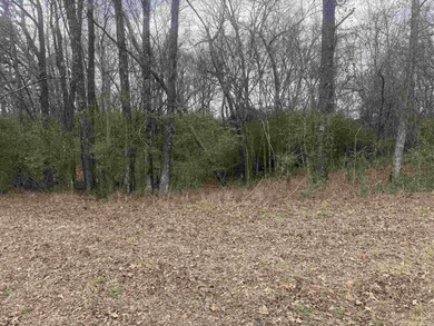 Rare opportunity to own a golf-front lot on the 17th hole on Diamondhead Golf and Country Club in Arkansas - for sale on GolfHomes.com, golf home, golf lot