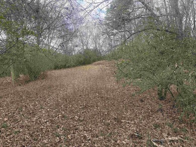 Rare opportunity to own a golf-front lot on the 17th hole on Diamondhead Golf and Country Club in Arkansas - for sale on GolfHomes.com, golf home, golf lot