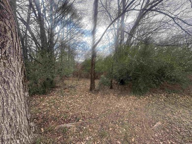 Rare opportunity to own a golf-front lot on the 17th hole on Diamondhead Golf and Country Club in Arkansas - for sale on GolfHomes.com, golf home, golf lot