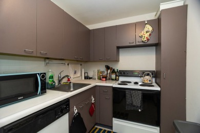 Bright & spacious East Lakeview studio with amazing city views on Sydney R. Marovitz Golf Course in Illinois - for sale on GolfHomes.com, golf home, golf lot