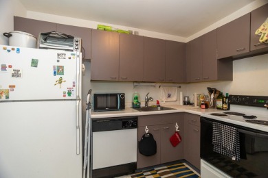 Bright & spacious East Lakeview studio with amazing city views on Sydney R. Marovitz Golf Course in Illinois - for sale on GolfHomes.com, golf home, golf lot