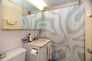 Bright & spacious East Lakeview studio with amazing city views on Sydney R. Marovitz Golf Course in Illinois - for sale on GolfHomes.com, golf home, golf lot