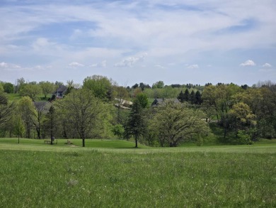 Attractive open lot at Apple Canyon Lake overlooking the 8th on Apple Canyon Lake Golf Course in Illinois - for sale on GolfHomes.com, golf home, golf lot