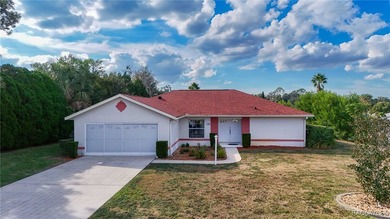 Looking for more room, a larger lot, and a quiet street? This on LakeSide Country Club in Florida - for sale on GolfHomes.com, golf home, golf lot