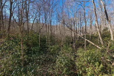 Enjoy nearly three acres and a private, peaceful setting for on Natures Walk At Chinquapin in North Carolina - for sale on GolfHomes.com, golf home, golf lot