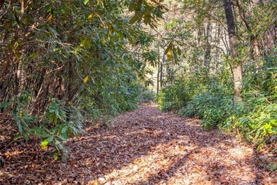 Nestled between the 5th green and the 6th tee, this 2.77-acre on Lake Toxaway Country Club in North Carolina - for sale on GolfHomes.com, golf home, golf lot