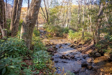 Nestled between the 5th green and the 6th tee, this 2.77-acre on Lake Toxaway Country Club in North Carolina - for sale on GolfHomes.com, golf home, golf lot