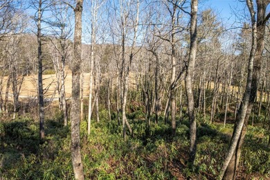 Nestled between the 5th green and the 6th tee, this 2.77-acre on Lake Toxaway Country Club in North Carolina - for sale on GolfHomes.com, golf home, golf lot