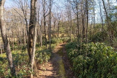 Nestled between the 5th green and the 6th tee, this 2.77-acre on Lake Toxaway Country Club in North Carolina - for sale on GolfHomes.com, golf home, golf lot