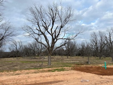 Nestled within the highly sought-after Pecan Plantation on Nutcracker Golf Club in Texas - for sale on GolfHomes.com, golf home, golf lot