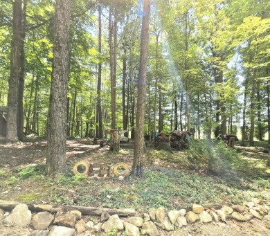 Welcome home to this wonderful 2 bedroom, 1 bath cabin in on Hide-A-Way Hills Golf Club in Ohio - for sale on GolfHomes.com, golf home, golf lot