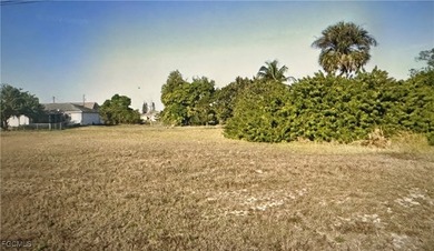 Beautiful oversized lot For Sale located in Cape Coral, Florida! on Del Tura Golf and Country Club in Florida - for sale on GolfHomes.com, golf home, golf lot