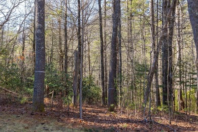 Located at the end of a quiet cul-de-sac, this 2.57-acre lot in on Natures Walk At Chinquapin in North Carolina - for sale on GolfHomes.com, golf home, golf lot