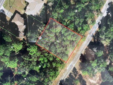 Great Citrus Springs lot to build your dream home on!  Large lot on El Diablo Golf and Country Club in Florida - for sale on GolfHomes.com, golf home, golf lot