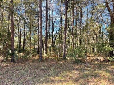 Great Citrus Springs lot to build your dream home on!  Large lot on El Diablo Golf and Country Club in Florida - for sale on GolfHomes.com, golf home, golf lot