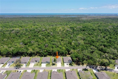 Indulge in luxury living with this exquisite 2023 new on Halifax Plantation Golf Club in Florida - for sale on GolfHomes.com, golf home, golf lot