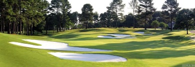 PREMIER GOLF COURSE HOMESITE on HSVs only PRIVATE golf course - on Diamante Golf and Country Club in Arkansas - for sale on GolfHomes.com, golf home, golf lot