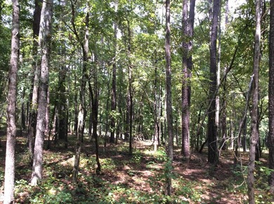 BACK ON MARKET THRU NO FAULT OF THE SELLER! Fabulous interior on Harbor Club Golf and Country Club in Georgia - for sale on GolfHomes.com, golf home, golf lot