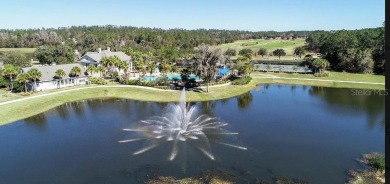 Welcome to Your Dream Home in Southern Hills Plantation Club
 on Southern Hills Plantation Club in Florida - for sale on GolfHomes.com, golf home, golf lot