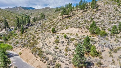 Build your dream home on this Fantastic 5 acre lot with on  in Nevada - for sale on GolfHomes.com, golf home, golf lot