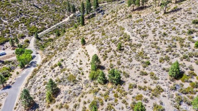 Build your dream home on this Fantastic 5 acre lot with on  in Nevada - for sale on GolfHomes.com, golf home, golf lot