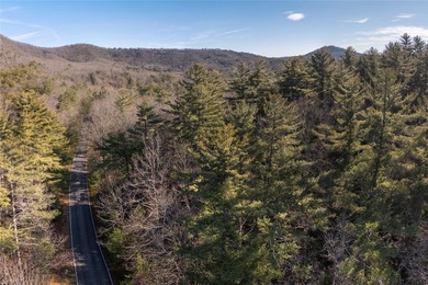 This lot offers excellent value in a highly desirable location on Burlingame Country Club in North Carolina - for sale on GolfHomes.com, golf home, golf lot