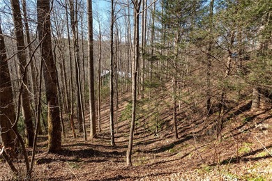 This lot is a rare treasure, spanning 4.33 acres with more than on Burlingame Country Club in North Carolina - for sale on GolfHomes.com, golf home, golf lot