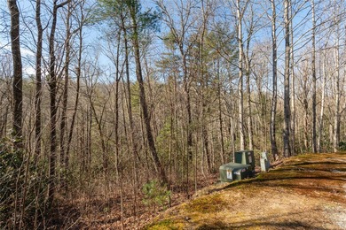 A spacious 1.64-acre lot featuring gently rolling terrain and on Burlingame Country Club in North Carolina - for sale on GolfHomes.com, golf home, golf lot