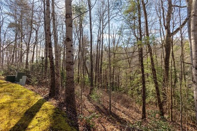 A spacious 1.64-acre lot featuring gently rolling terrain and on Burlingame Country Club in North Carolina - for sale on GolfHomes.com, golf home, golf lot