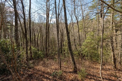 A spacious 1.64-acre lot featuring gently rolling terrain and on Burlingame Country Club in North Carolina - for sale on GolfHomes.com, golf home, golf lot