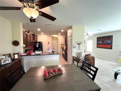 Welcome to this beautiful two-story home located in the on Summerfield Crossing Golf Club in Florida - for sale on GolfHomes.com, golf home, golf lot